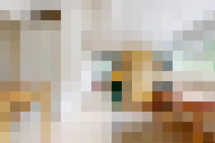 Dolderseweg 120 A Den Dolder thumbnail 26