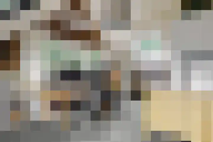 Dolderseweg 120 A Den Dolder thumbnail 31