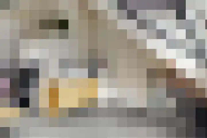 Dolderseweg 120 A Den Dolder thumbnail 32