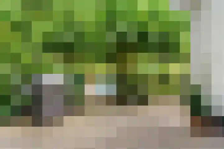 Dolderseweg 120 A Den Dolder thumbnail 35