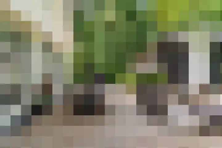 Dolderseweg 120 A Den Dolder thumbnail 36