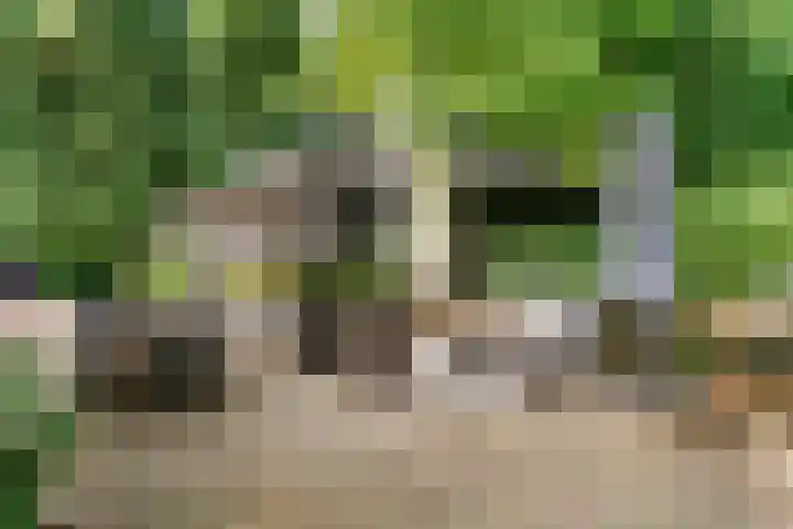 Dolderseweg 120 A Den Dolder thumbnail 37