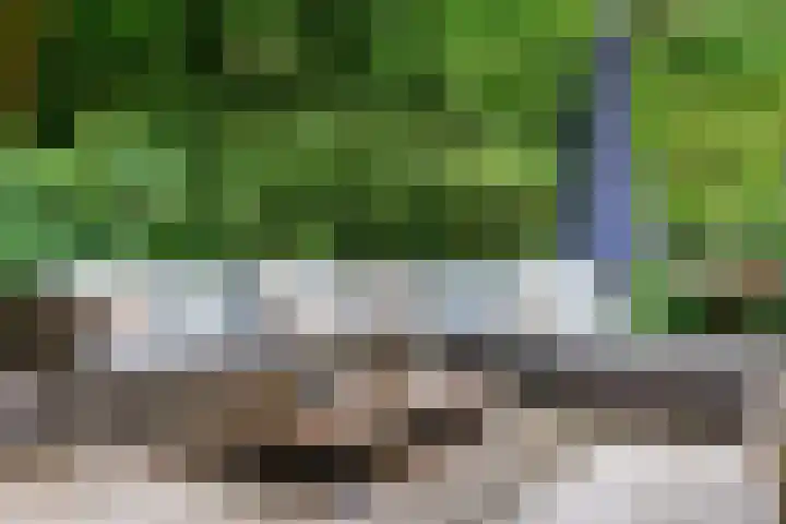Dolderseweg 120 A Den Dolder thumbnail 38