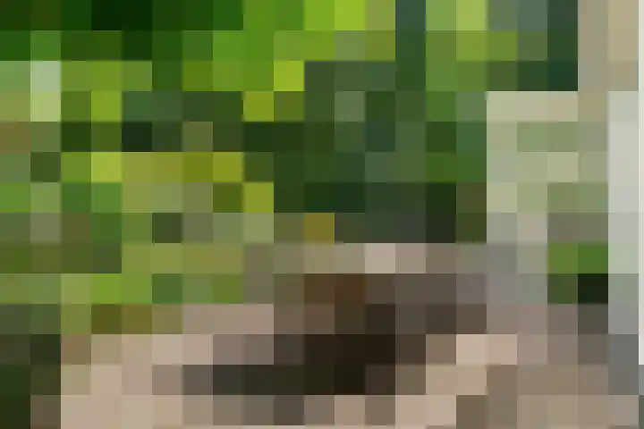 Dolderseweg 120 A Den Dolder thumbnail 39