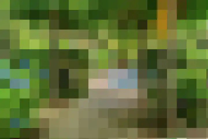 Dolderseweg 120 A Den Dolder thumbnail 40