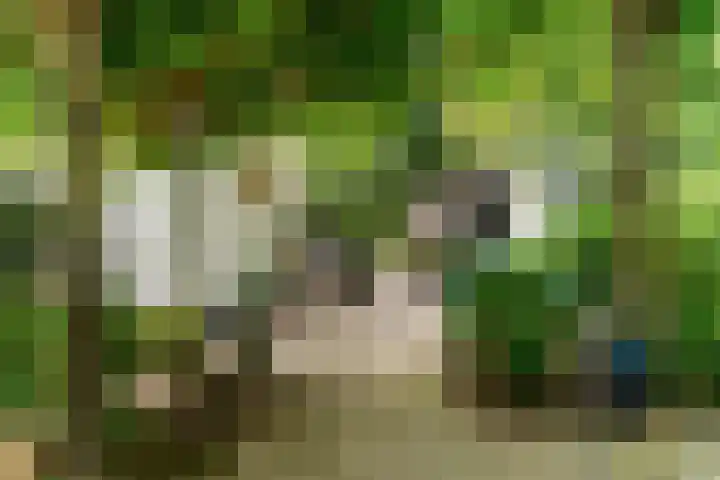 Dolderseweg 120 A Den Dolder thumbnail 45