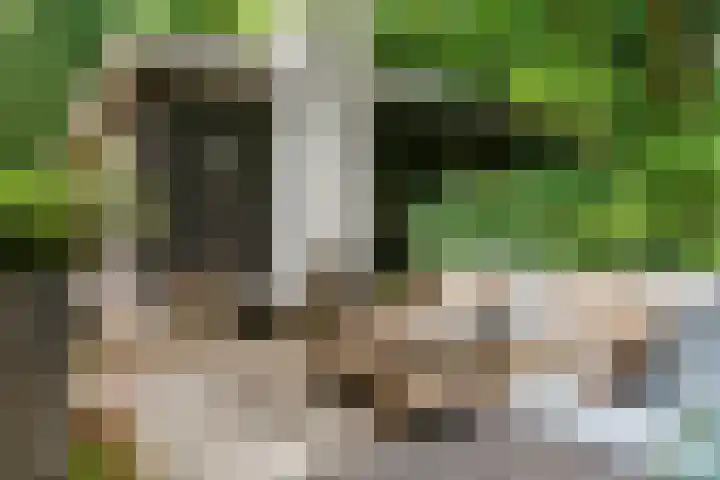 Dolderseweg 120 A Den Dolder thumbnail 46