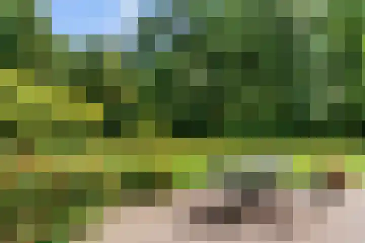 Dolderseweg 120 A Den Dolder thumbnail 47