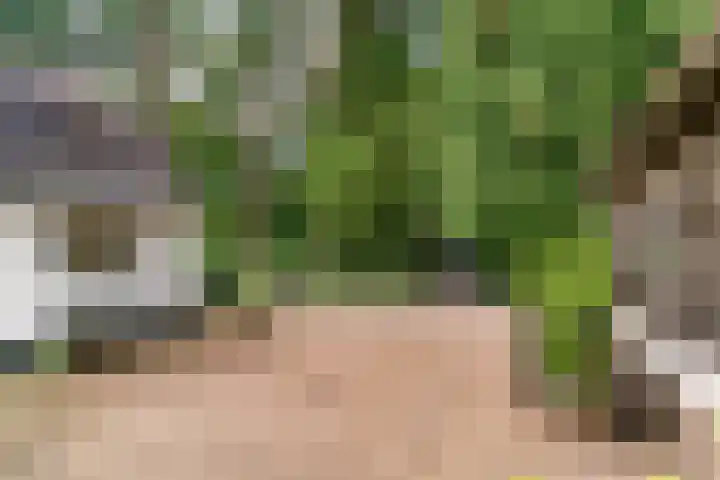 Dolderseweg 120 A Den Dolder thumbnail 48