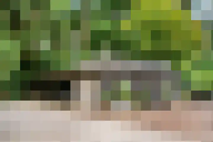 Dolderseweg 120 A Den Dolder thumbnail 49