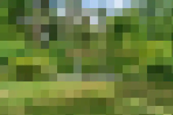 Dolderseweg 120 A Den Dolder thumbnail 5