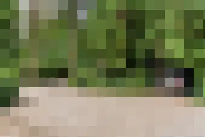 Dolderseweg 120 A Den Dolder thumbnail 51