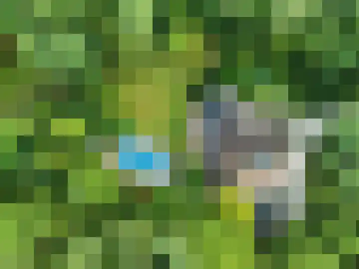 Dolderseweg 120 A Den Dolder thumbnail 54