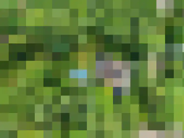 Dolderseweg 120 A Den Dolder thumbnail 55