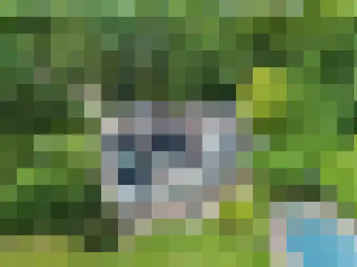 Dolderseweg 120 A Den Dolder thumbnail 57
