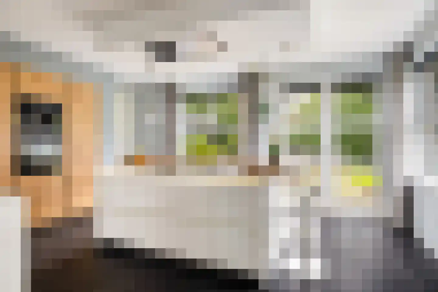 Dolderseweg 126 Den Dolder thumbnail 11