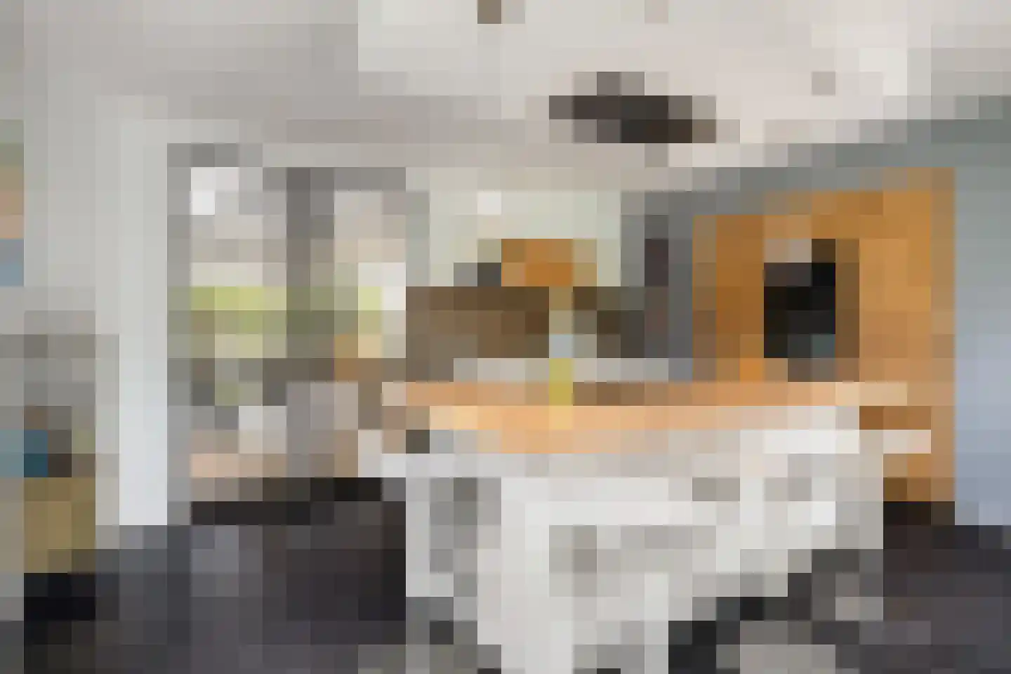 Dolderseweg 126 Den Dolder thumbnail 12