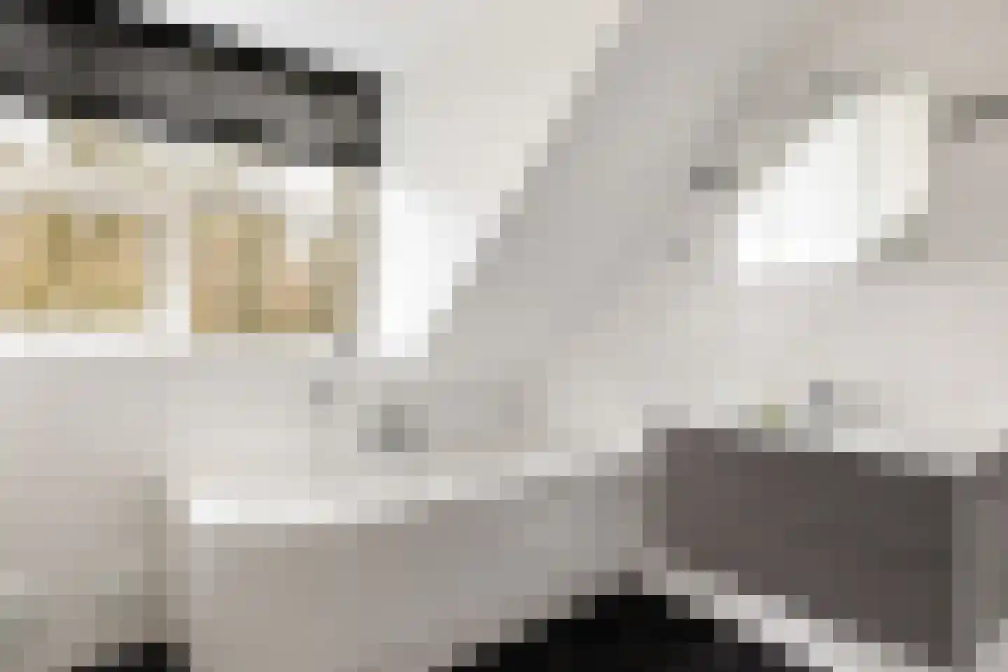 Dolderseweg 126 Den Dolder thumbnail 26