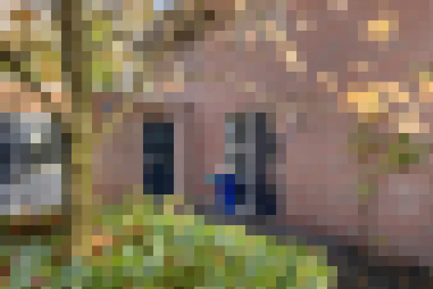 Dolderseweg 126 Den Dolder thumbnail 30