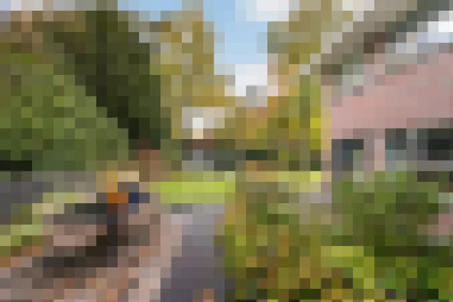 Dolderseweg 126 Den Dolder thumbnail 32