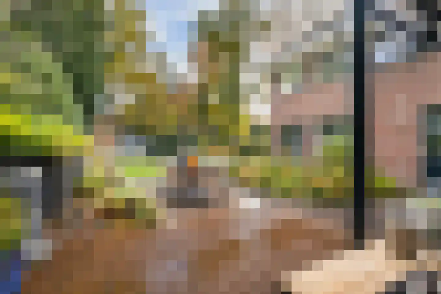 Dolderseweg 126 Den Dolder thumbnail 33
