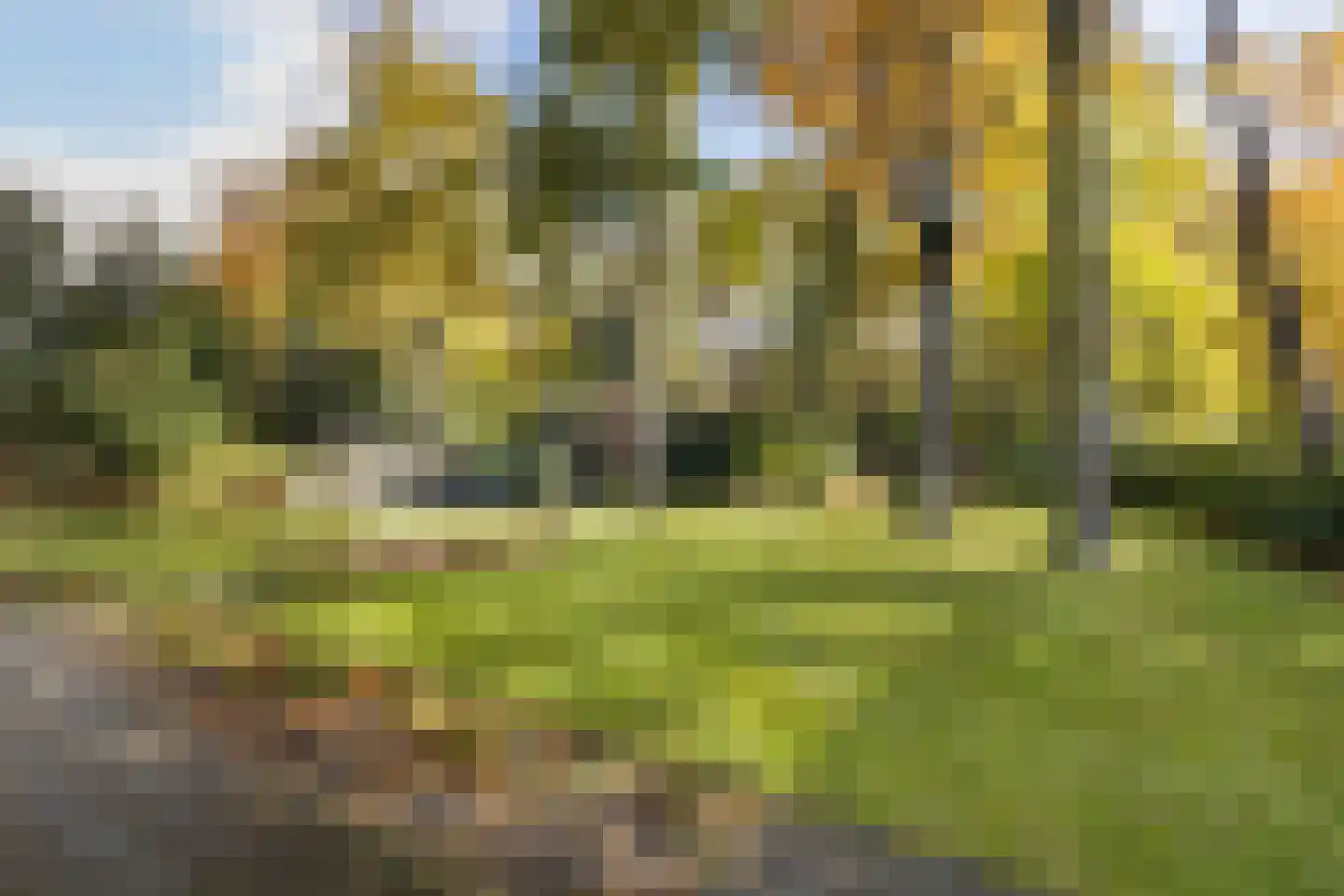 Dolderseweg 126 Den Dolder thumbnail 34
