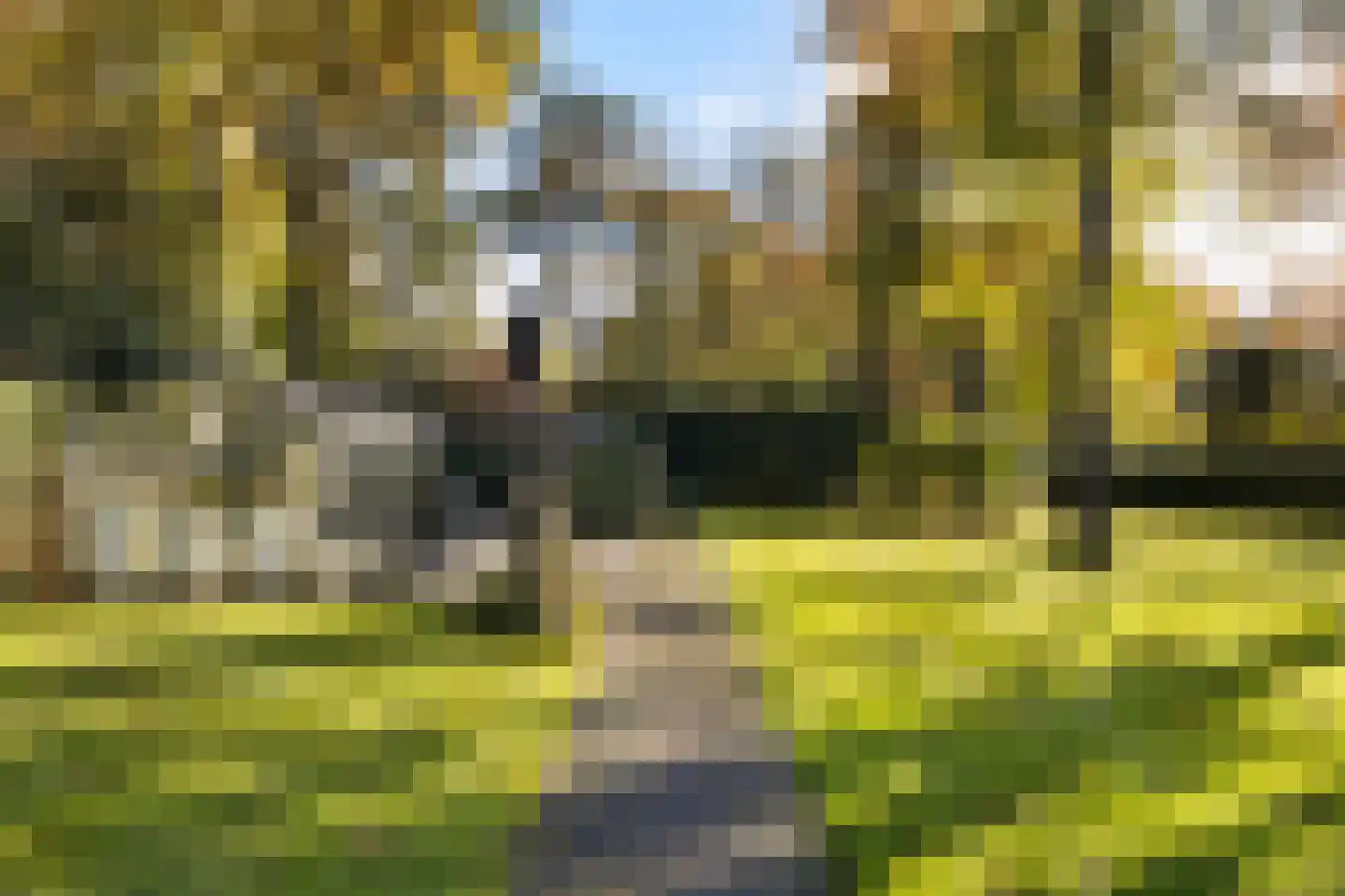 Dolderseweg 126 Den Dolder thumbnail 35