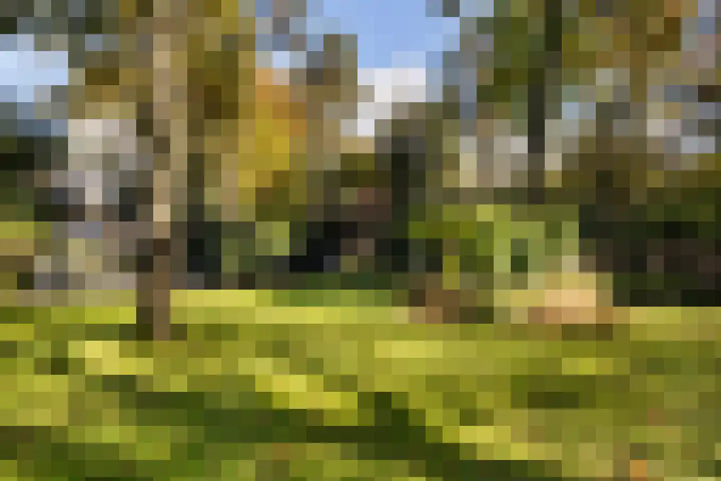 Dolderseweg 126 Den Dolder thumbnail 36