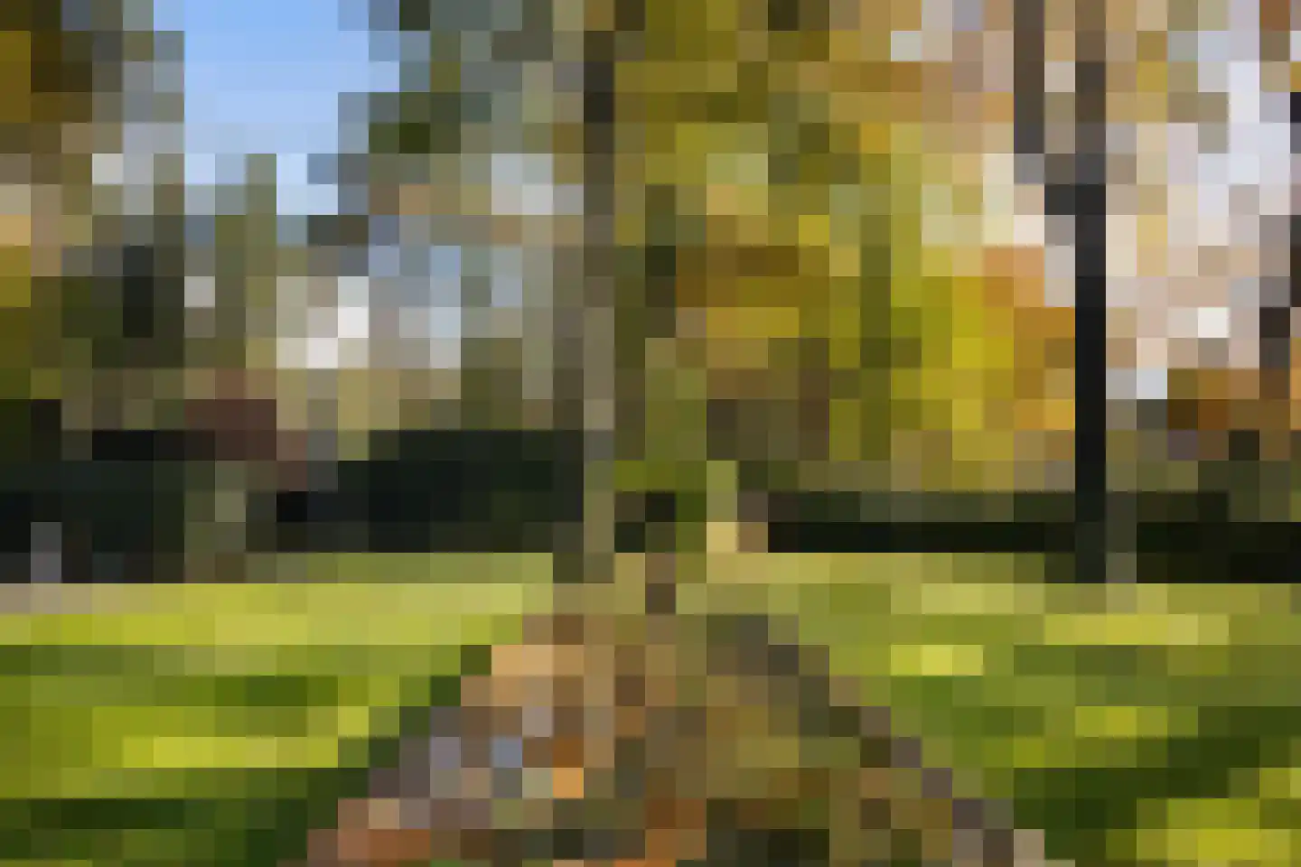 Dolderseweg 126 Den Dolder thumbnail 37