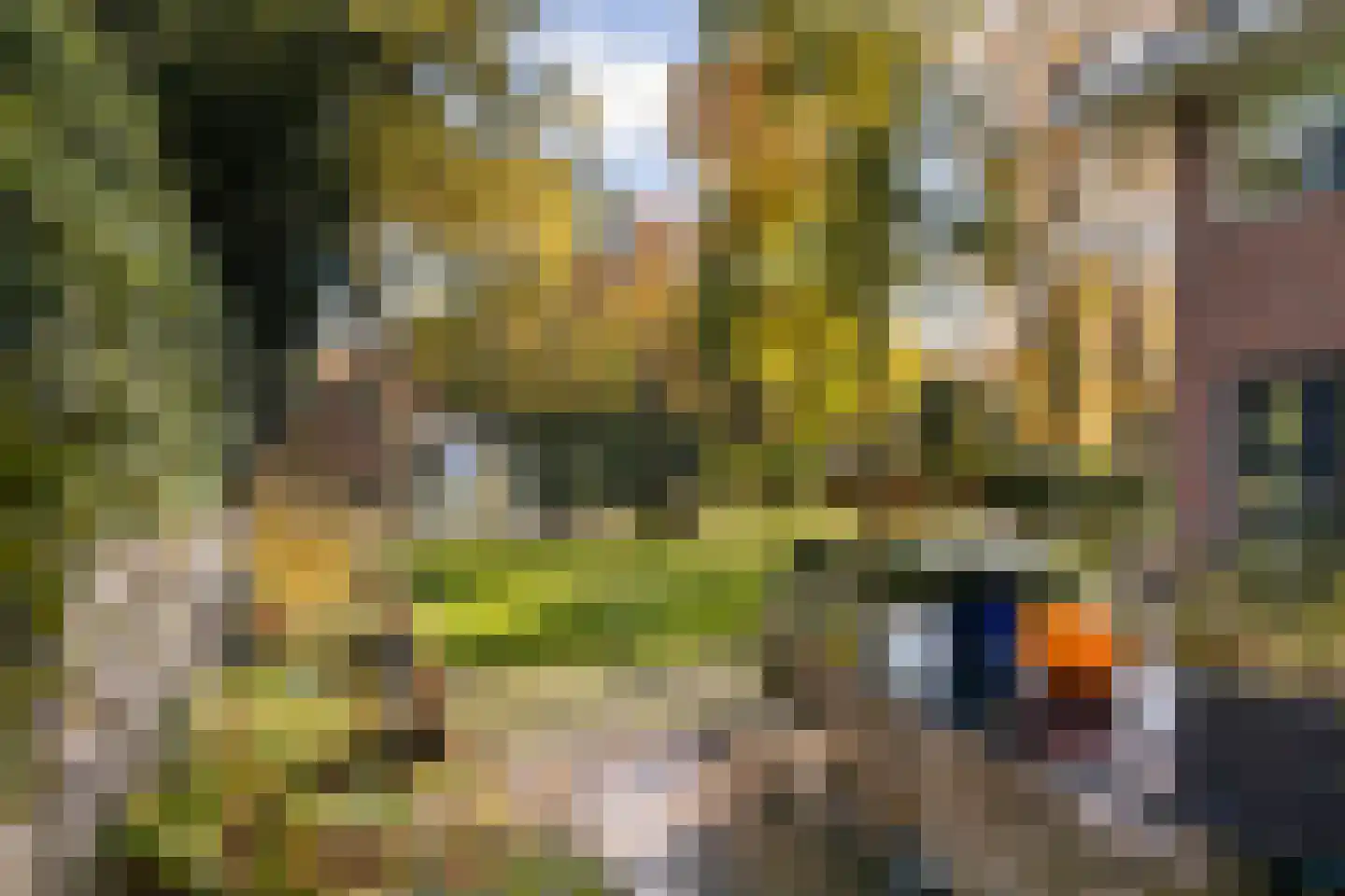 Dolderseweg 126 Den Dolder thumbnail 38