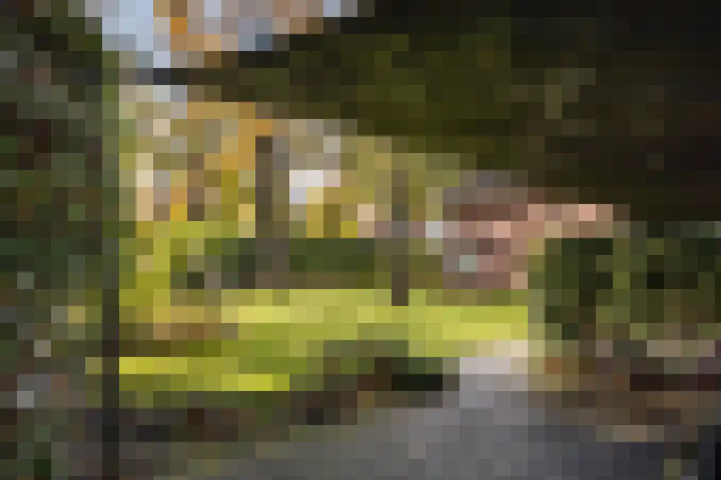 Dolderseweg 126 Den Dolder thumbnail 39