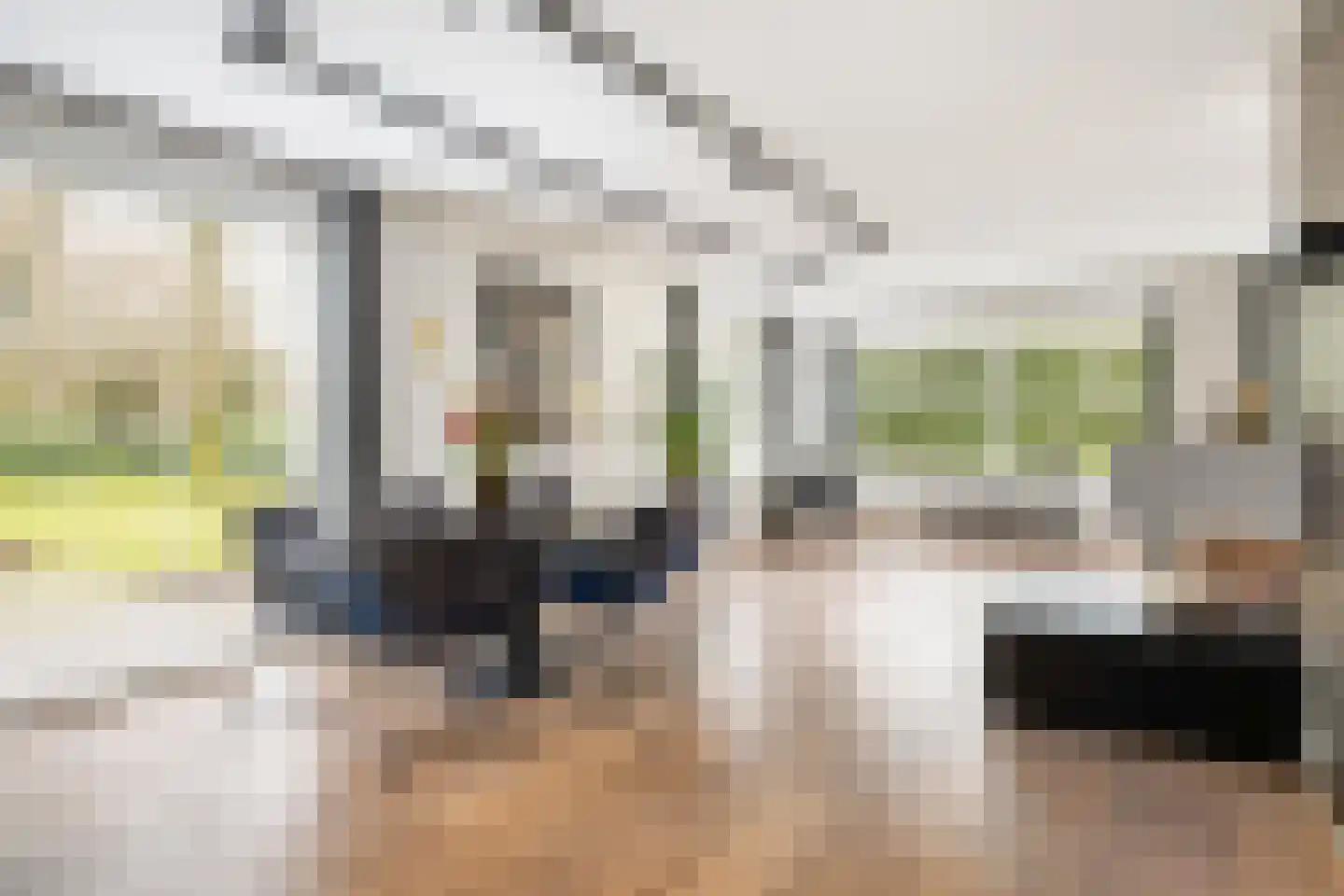 Dolderseweg 126 Den Dolder thumbnail 4