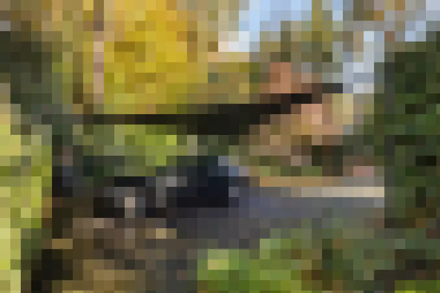 Dolderseweg 126 Den Dolder thumbnail 40