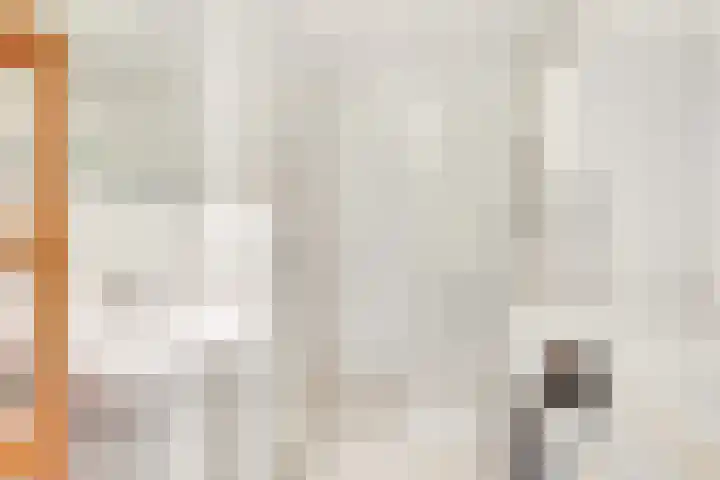 Dolderseweg 140 C Den Dolder thumbnail 16