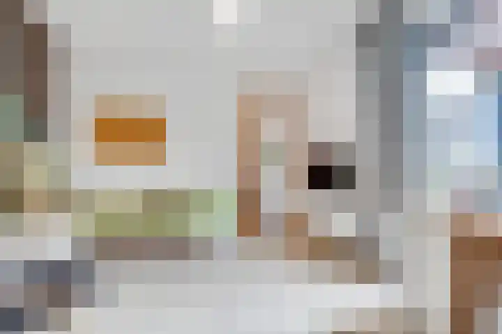 Dolderseweg 145 Den Dolder thumbnail 20