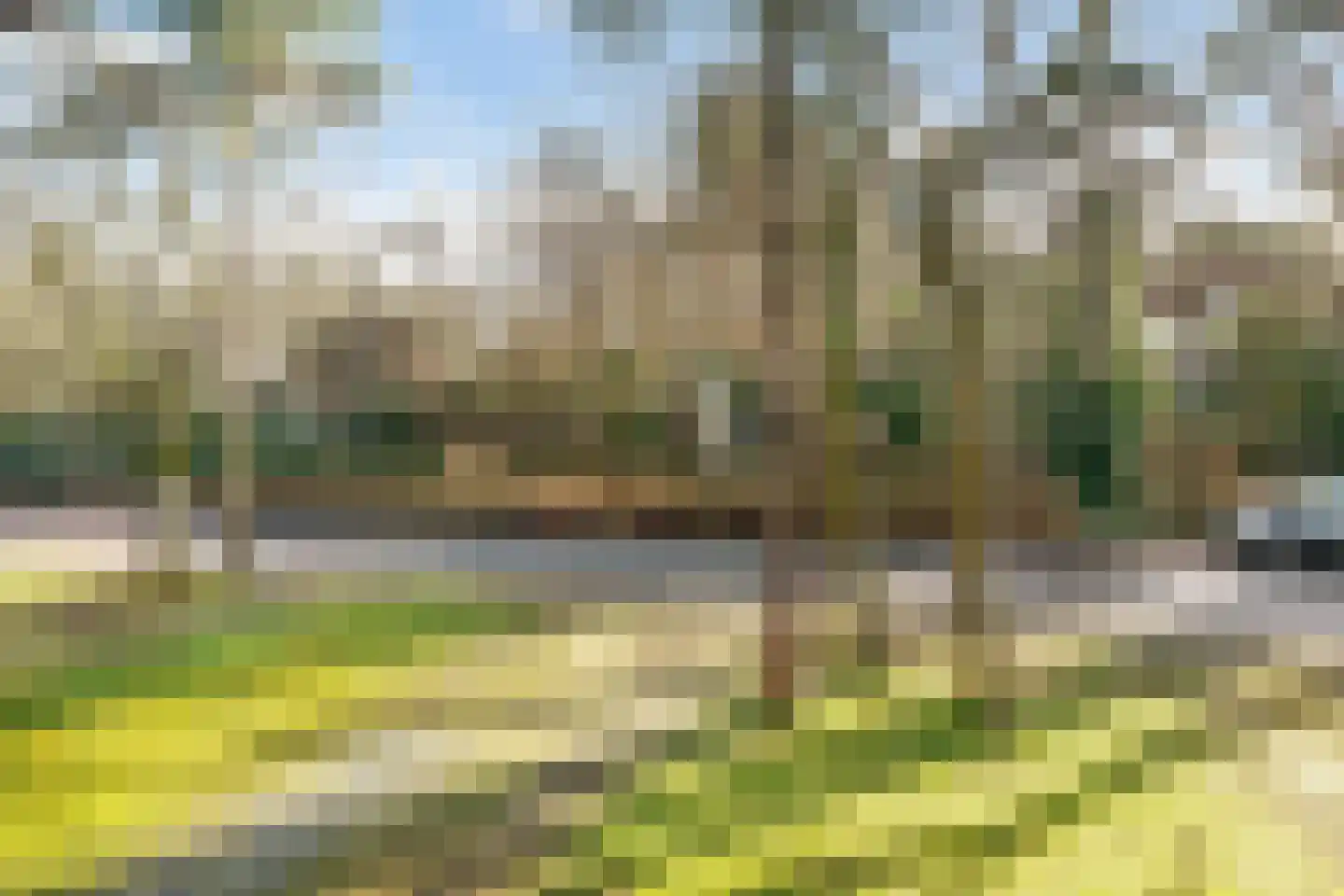 Dolderseweg 145 Den Dolder thumbnail 27