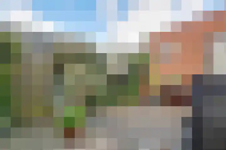 Dolderseweg 145 Den Dolder thumbnail 36