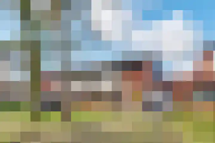 Dolderseweg 145 Den Dolder thumbnail 39