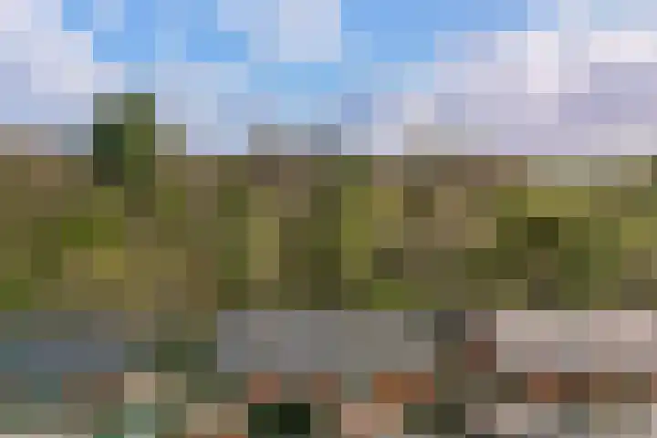 Dolderseweg 145 Den Dolder thumbnail 42