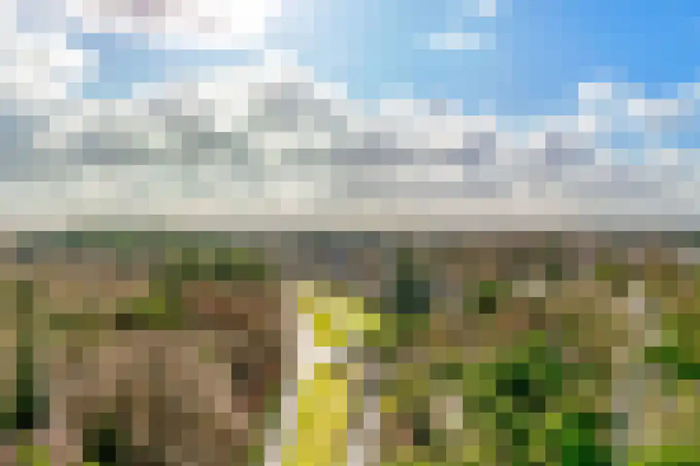 Dolderseweg 145 Den Dolder thumbnail 43