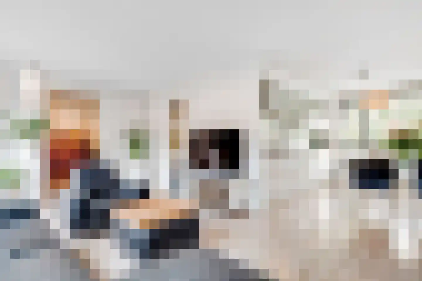 Dolderseweg 145 Den Dolder thumbnail 8