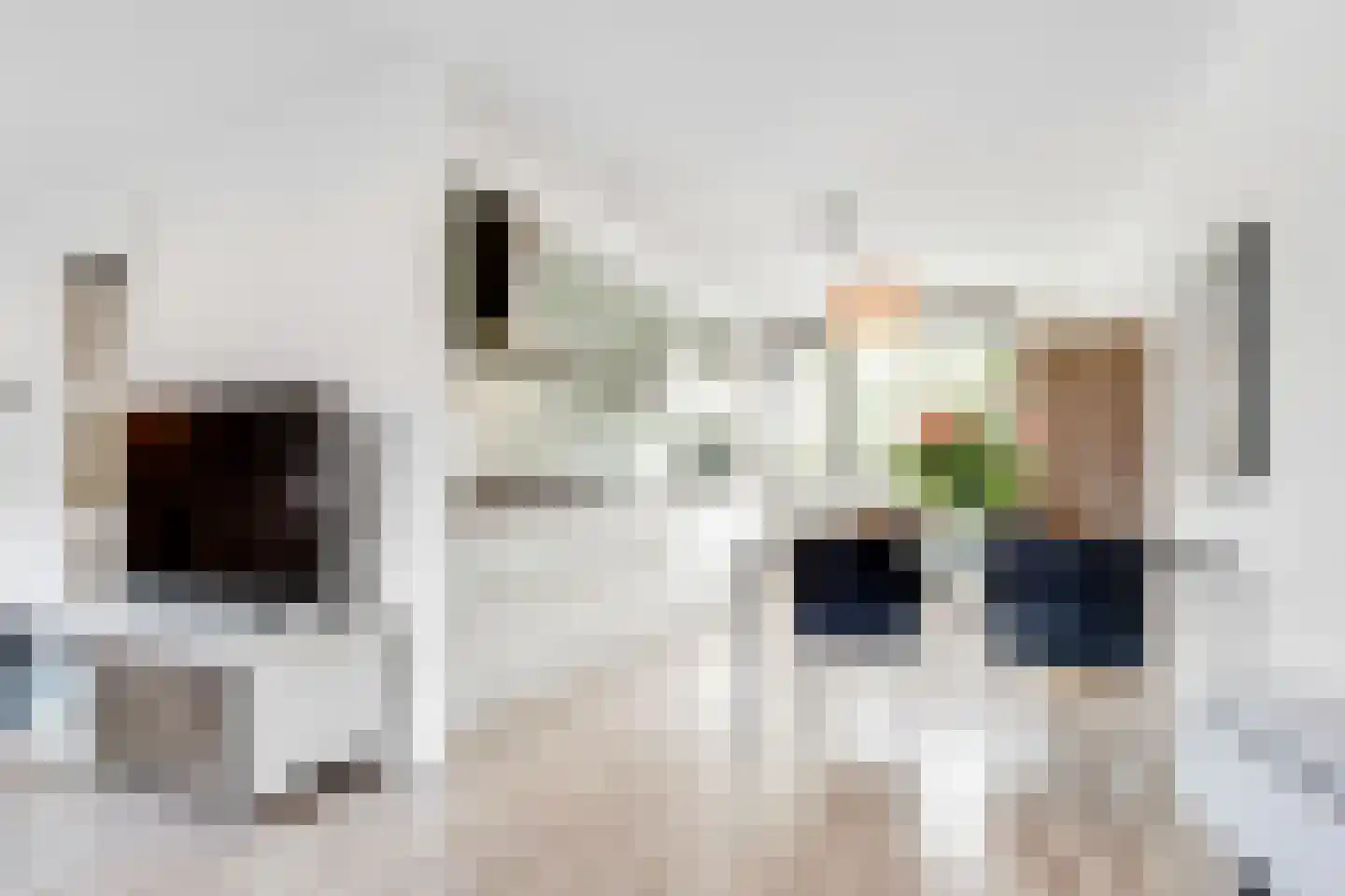 Dolderseweg 145 Den Dolder thumbnail 9
