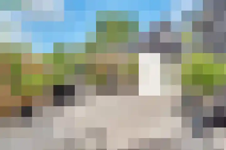 Dolderseweg 171 Den Dolder thumbnail 34
