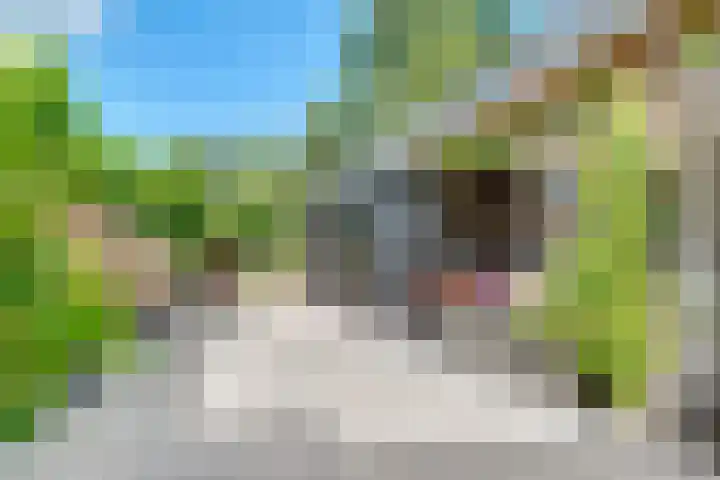 Dolderseweg 171 Den Dolder thumbnail 37
