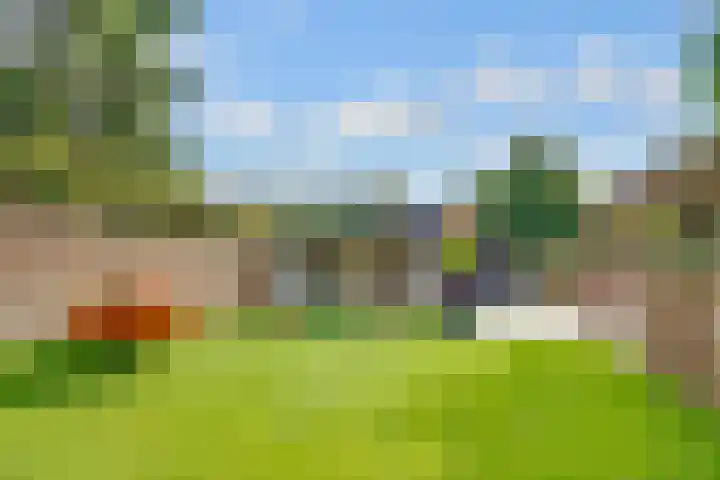 Dolderseweg 171 Den Dolder thumbnail 40