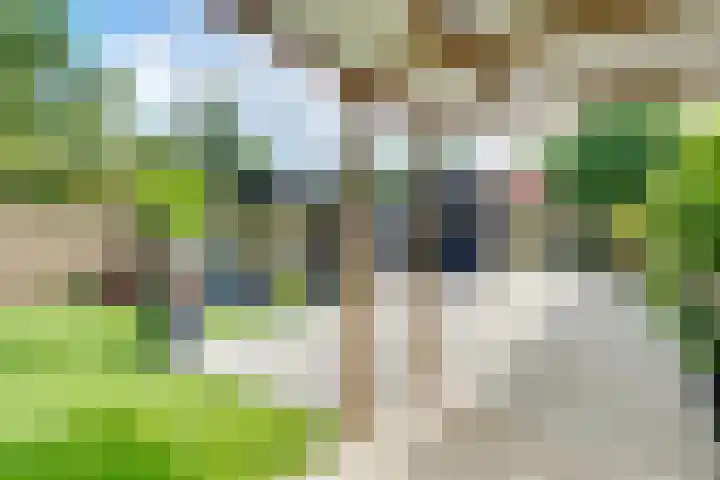 Dolderseweg 171 Den Dolder thumbnail 41