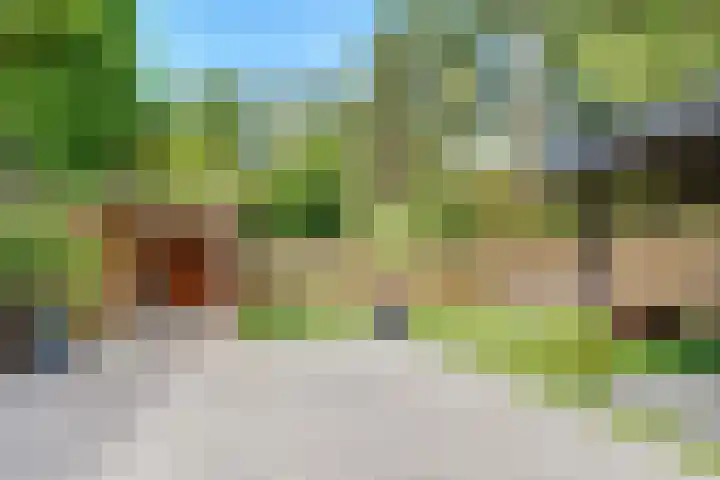 Dolderseweg 171 Den Dolder thumbnail 43