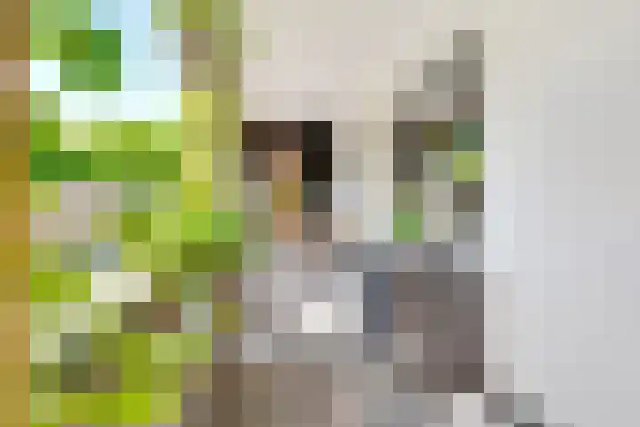Dolderseweg 171 Den Dolder thumbnail 47