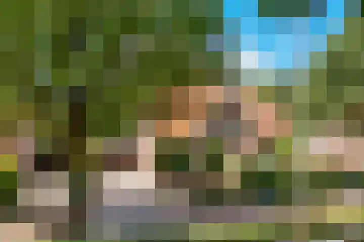 Dolderseweg 171 Den Dolder thumbnail 72