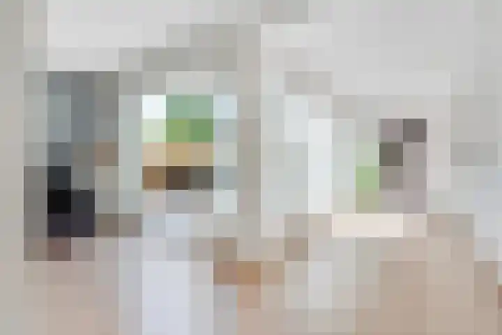 Dolderseweg 171 Den Dolder thumbnail 9